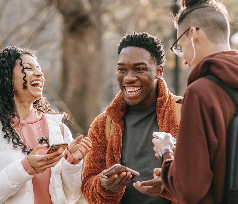 New Haven Website Colors and Fonts – Community member Homepage